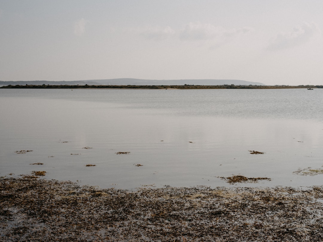 A large body of water with land in the background