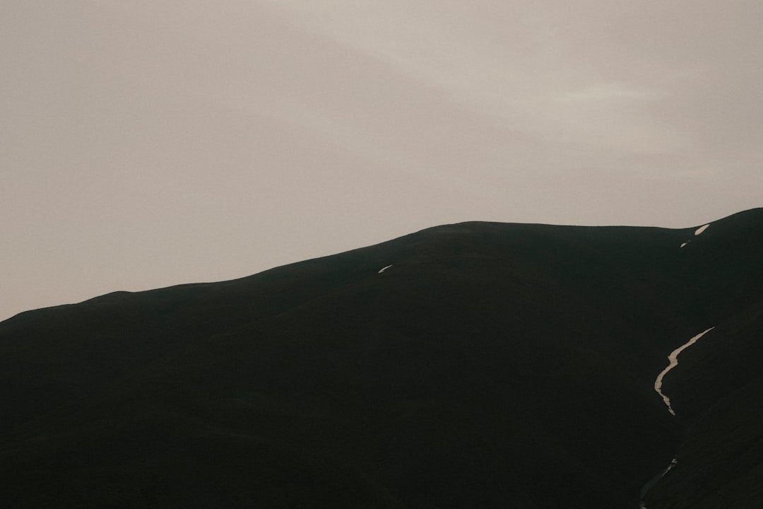 a bird flying over a mountain with a sky background