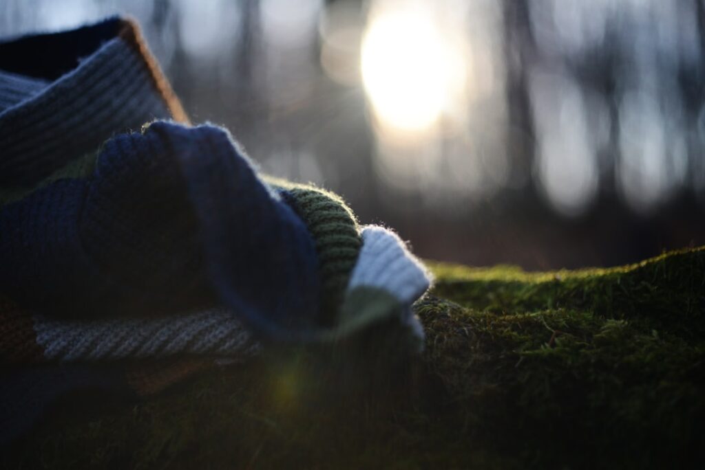 A close up of a pair of shoes on a moss covered ground