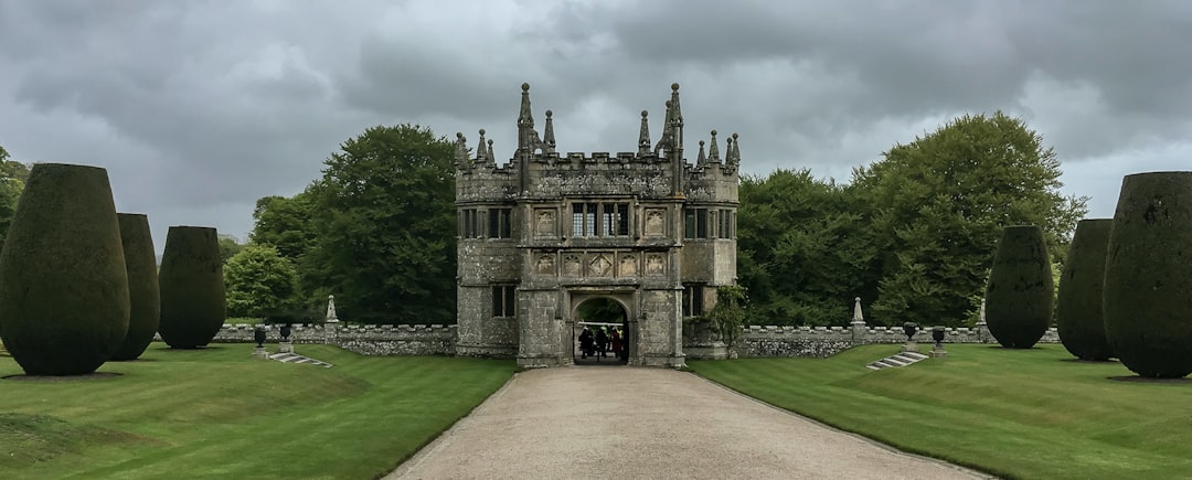 brown and gray concrete building