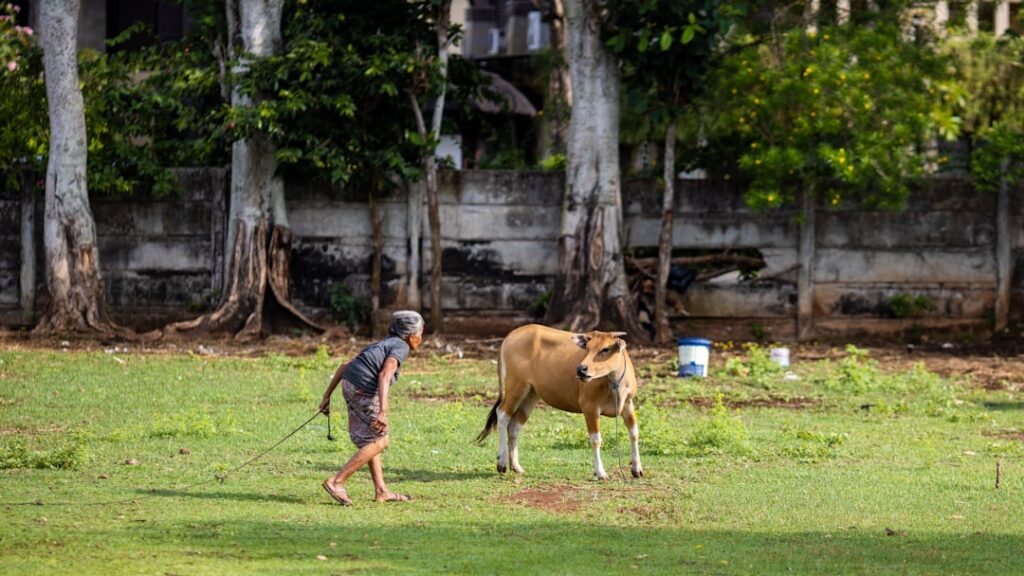 man in blue and white long sleeve shirt riding brown horse during daytime