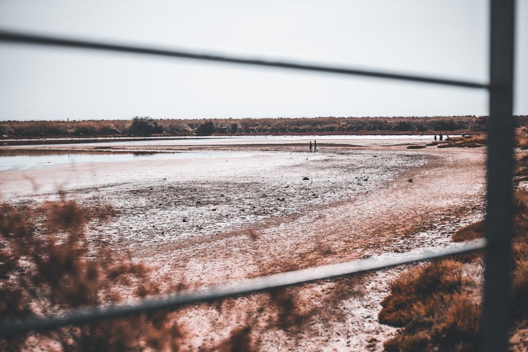 a couple of people standing on top of a dry grass field