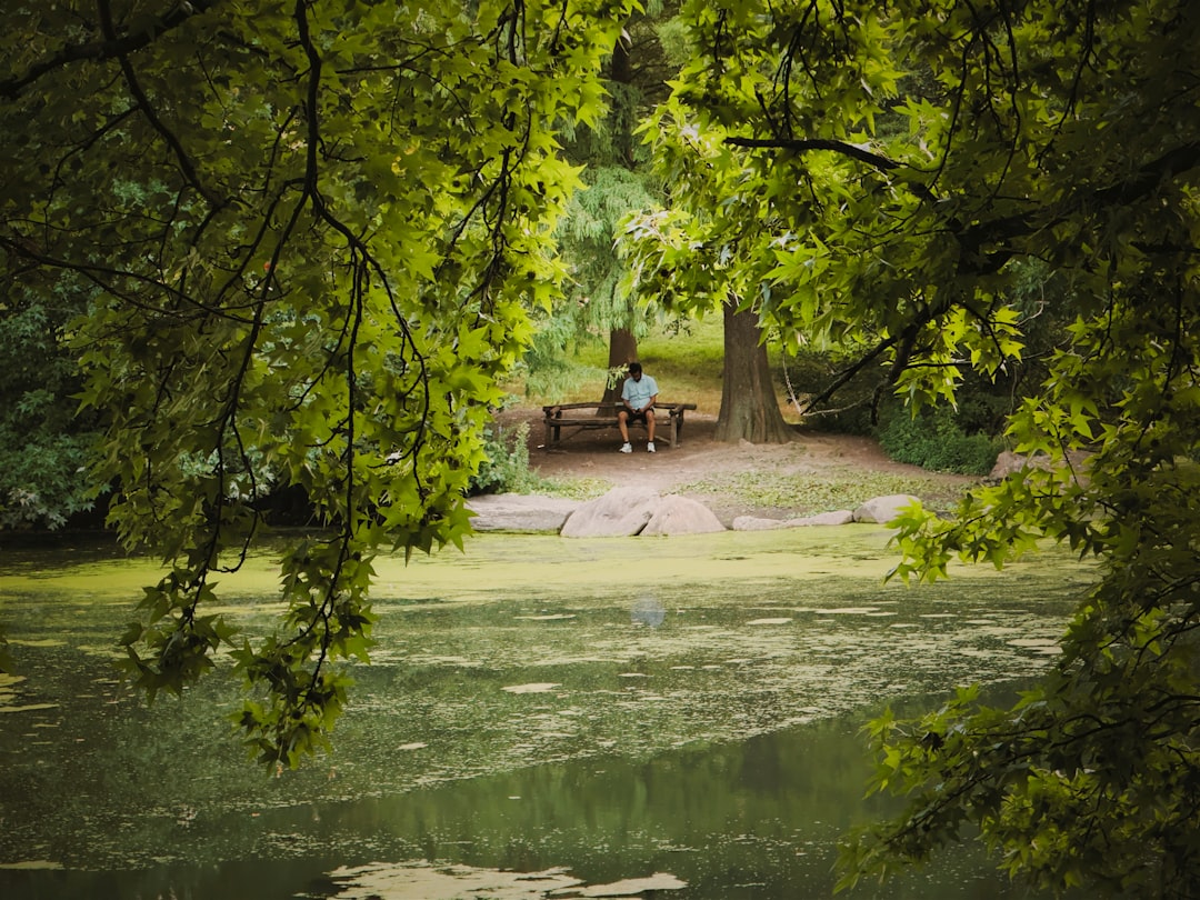 Man sitting on a park bench near a pond.