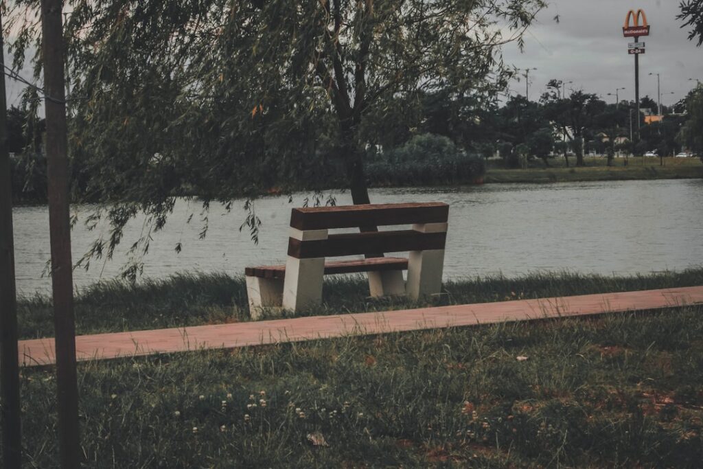 brown wooden bench near body of water during daytime
