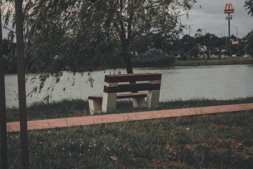 brown wooden bench near body of water during daytime